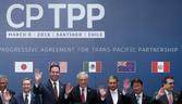 tpp carries on